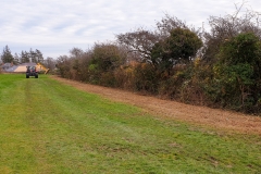 Clearing brambles