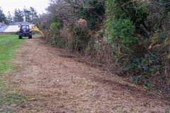 Clearing brambles