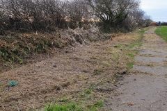 Prepared for ditch clearance