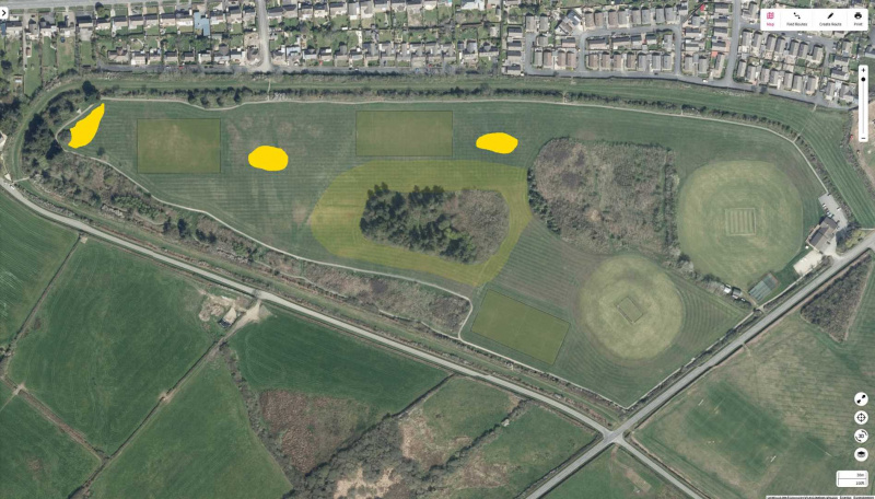 Wilding-areas-on-the-Racecourse-copy-Large