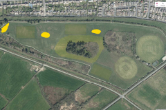 Wilding-areas-on-the-Racecourse-copy-Large