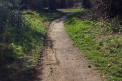 Image2-2